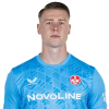 Player cutout