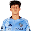 Player cutout