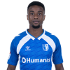 Player cutout