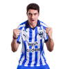 Player cutout