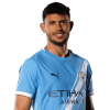 Player cutout
