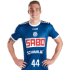 Player cutout