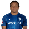 Player cutout