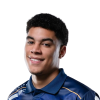 Player cutout