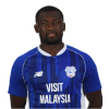 Player cutout