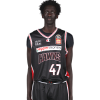 Player cutout