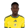 Player cutout