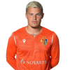 Player cutout