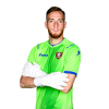 Player cutout
