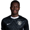 Player cutout