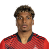 Player cutout