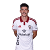 Player cutout