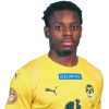 Player cutout