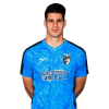 Player cutout
