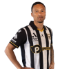 Player cutout
