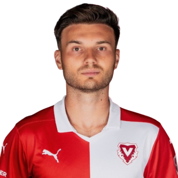 Dominik Schwizer profile image