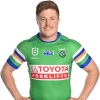 Player cutout