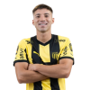 Player cutout