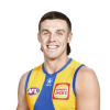 Player cutout