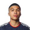 Player cutout