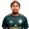 Player cutout