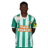 Player cutout