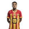 Player cutout