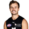 Player cutout