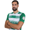 Player cutout