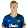 Player cutout