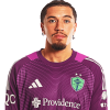 Player cutout