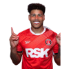 Player cutout