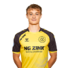 Player cutout