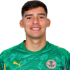 Player cutout