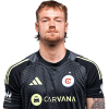 Player cutout