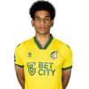 Player cutout