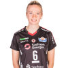 Player cutout