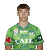 Player cutout