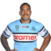 Player cutout