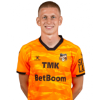 Player cutout