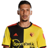 Player cutout