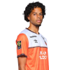 Player cutout