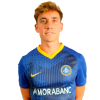 Player cutout