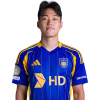 Player cutout