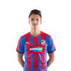 Player cutout