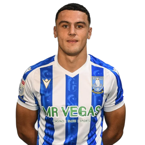 배일리 타이 카다메트리