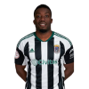 Player cutout
