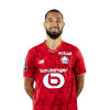 Player cutout