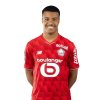 Player cutout