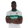 Player cutout